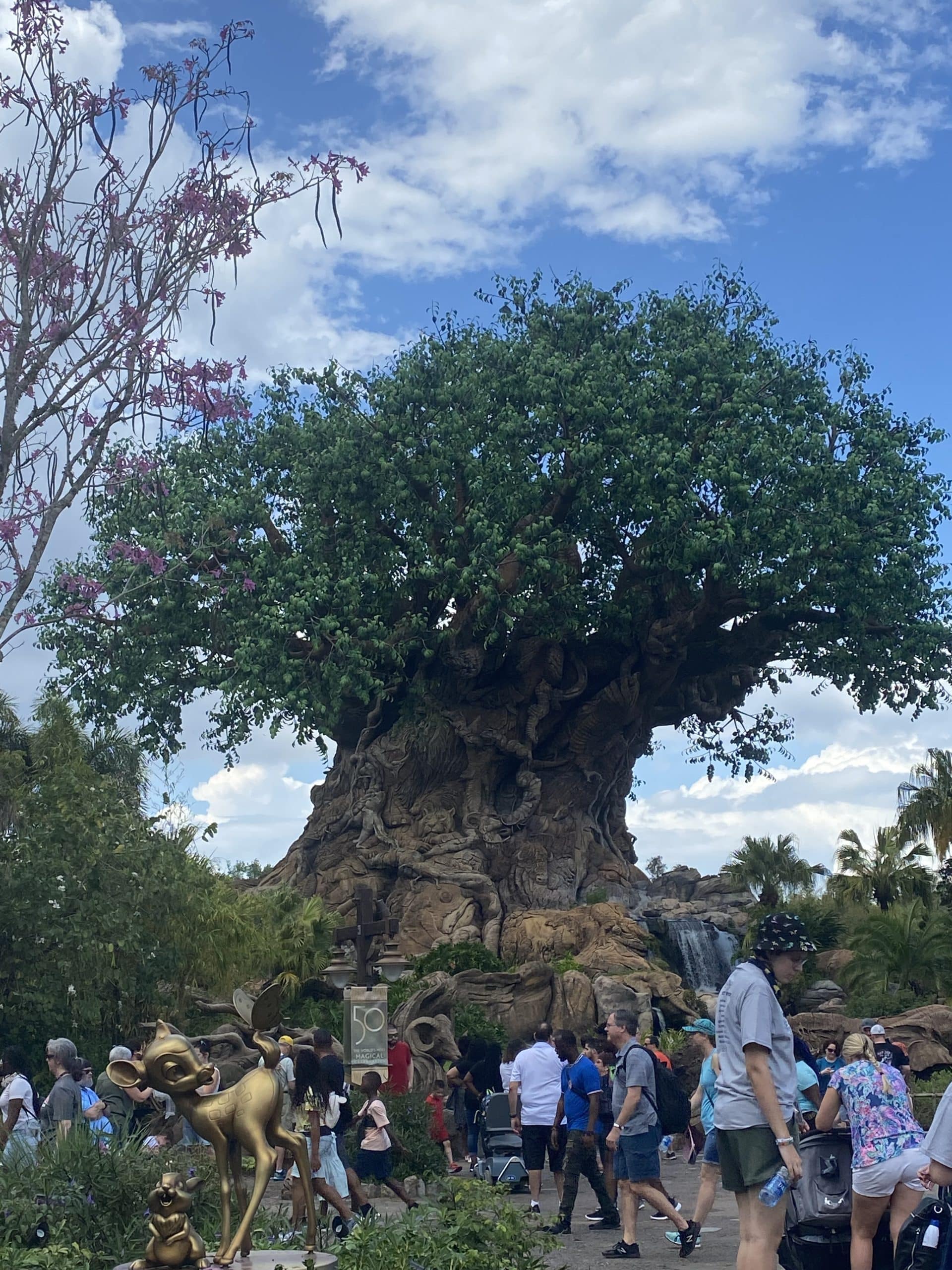 the tree of life at the entrance to Disney's Animal Kingdom park