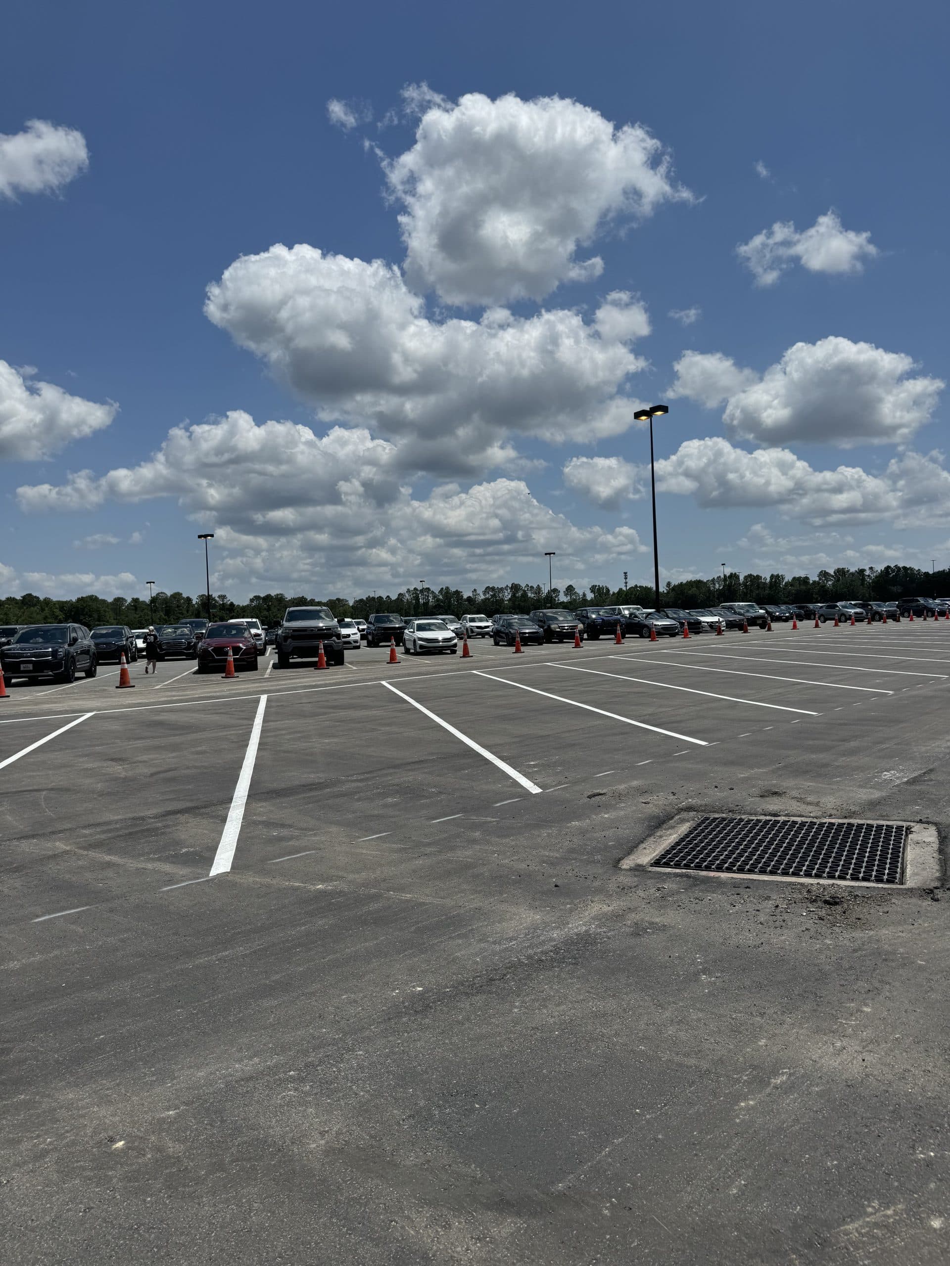 Animal Kingdom parking lot
