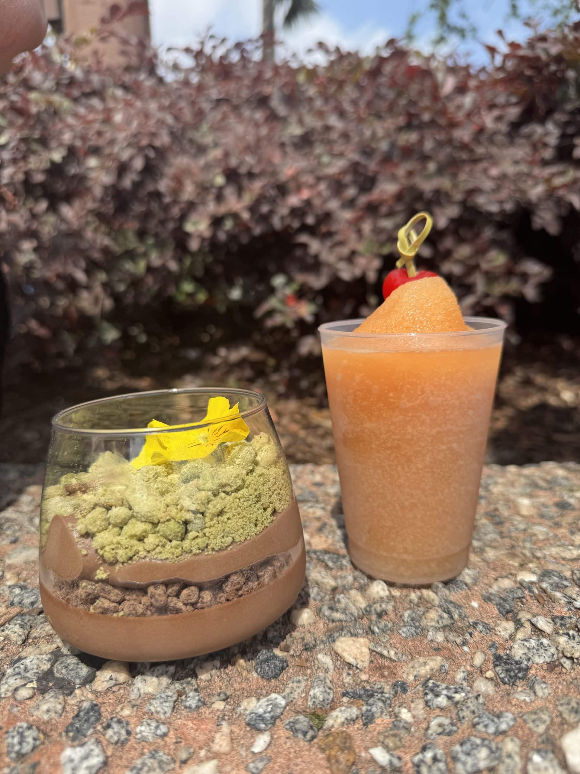 chocolate mousse dessert and slushie from the Flower & Garden Festival in Epcot