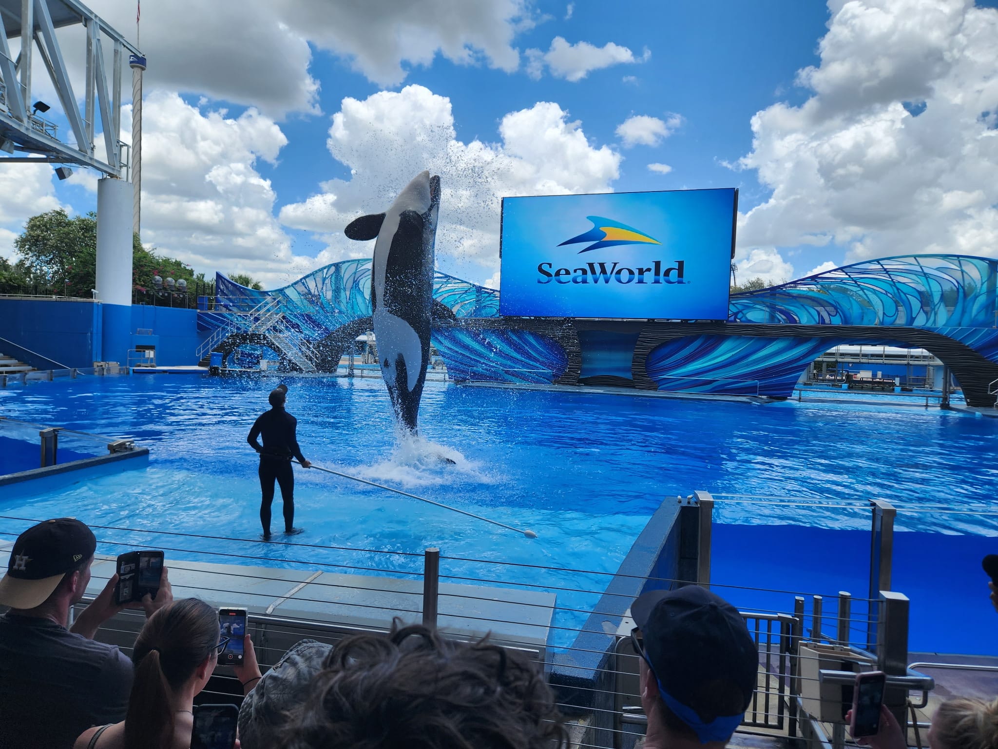 Shamu Show at Seaworld Orlando